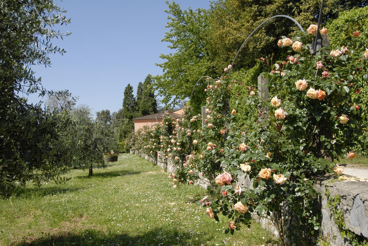 Farm stay La Chiusa Di Nanni